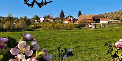 Pensionen - Umgebungsschwerpunkt: Berg - Deutschland - Frühling - Blick aus der Apfelanlage - Gästehaus Wörner