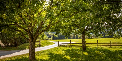 Pensionen - Art der Pension: Urlaub am Bauernhof - Österreich - Obstbäume - Obertrattenbachhof