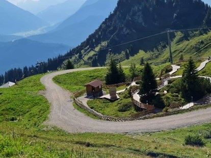 Pensionen - Balkon - Tirol - Bergwelt Hahnenkamm - KOMFORT-FEWO BERGWELT HAHNENKAMM   - Lechtal - So/Wi