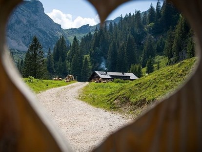 Pensionen - Kühlschrank - Wandern von Hütte zu Hütte - KOMFORT-FEWO BERGWELT HAHNENKAMM   - Lechtal - So/Wi