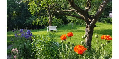 Pensionen - Ruhla - Unser naturnaher Garten im Frühsommer. - Pension Rau