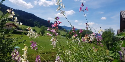 Pensionen - Umgebungsschwerpunkt: Fluss - Steiermark - https://ferienpensionen.info/Media/Default/Gallery/470575/470772.jpg - Apartment Steira.wohn.zimmer