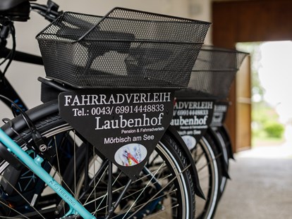 Pensionen - Umgebungsschwerpunkt: Strand - Mörbisch am See - E-Bike Verleih vor Ort - Pension Laubenhof