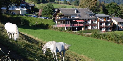 Pensionen - Art der Pension: Hotel Garni - Deutschland - Panorama Lodge Sonnenalm Hochschwarzwald