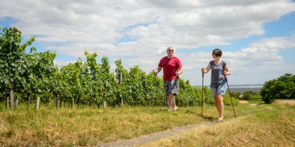Pensionen - Terrasse - Illmitz - Nordic Walking - Pension Kral bike & wine