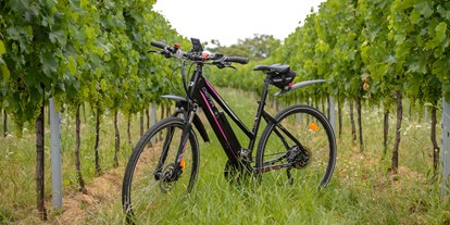 Pensionen - Fahrradverleih - Halbturn - Radweg - Pension Kral bike & wine