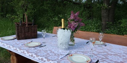 Pensionen - Garage für Zweiräder - Tadten - Party Place für Picknick in unseren Weingärten - Pension Kral bike & wine