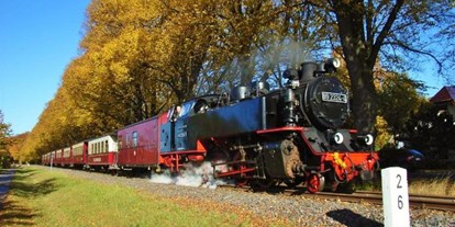 Pensionen - Umgebungsschwerpunkt: am Land - Mecklenburg-Vorpommern - historische Dampfeisenbahn Molli - Ostsee Hotel-Pension An der Lindenallee Bad Doberan