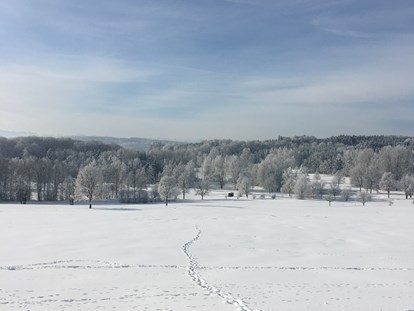 Pensionen - Terrasse - Vaterstetten - Traumlandschaft im Winter
Aufgenommen in Zaißing 2020 - Pension am Weberhof