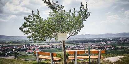 Pensionen - Garten - Donauraum - Blick vom Weinberg auf Rohrendorf - Schmankerl und Gast Familie Heiderer