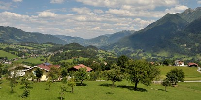 Pensionen - Umgebungsschwerpunkt: Berg - Leogang - Ausblick vom Balkon - Bio-Bauernhof Reitmayrgut
