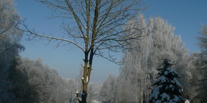Pensionen - Tirschenreuth - Unser Garten im Winter - Landhaus am Forst