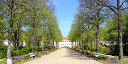 Pensionen - Garten - Hammelburg - Höchemer´s Feriendomizil