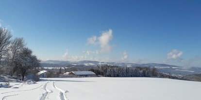 Pensionen - Umgebungsschwerpunkt: Berg - Geiersthal - Ausblick 200m von der Pension entfernt - Berggasthof und Pension Wieser