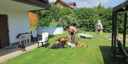 Pensionen - Sauna - Deutschland - Garten und Hundepool - Pension Sonnleit´n - Ihr Urlaub mit Hund 