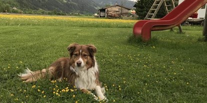 Pensionen - Hunde: erlaubt - Uderns - Martlerhof