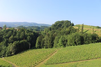 Frühstückspension: Ausblick auf unsere Weingärten - Weingut Juritsch