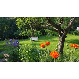 Frühstückspension: Unser naturnaher Garten im Frühsommer. - Pension Rau