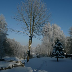 Frühstückspension: Unser Garten im Winter - Landhaus am Forst